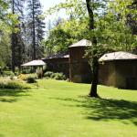 IMG_7569 (May 28, 2024)